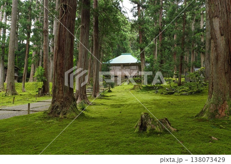 白山平泉寺　拝殿と苔エリア 138073429