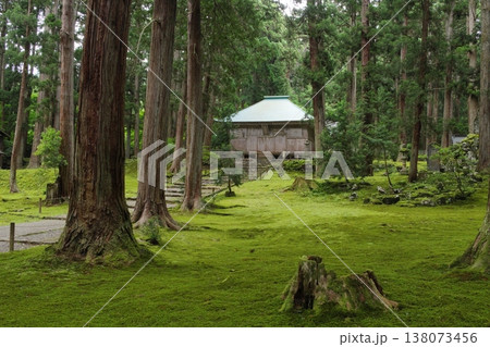 白山平泉寺 拝殿と苔エリア 白山平泉寺 拝殿と苔エリア 138073456