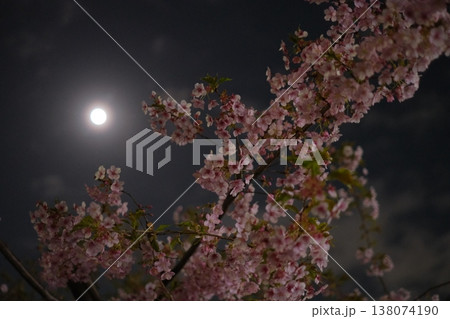 満月に照らされる桜 138074190