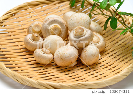 新鮮な白マッシュルームの食材写真 138074331