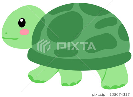 turtle turtle 138074337