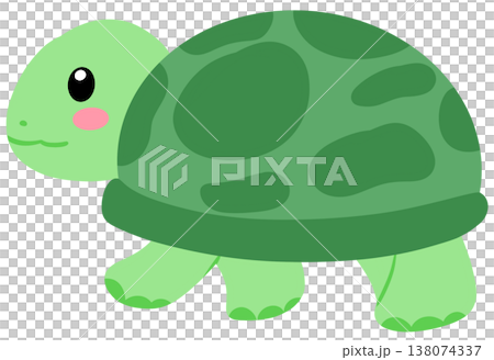 turtle turtle 138074337