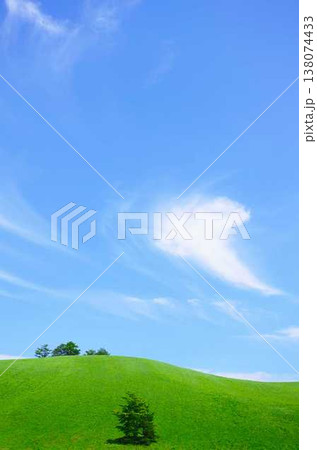 青空と白い雲、緑の丘と孤立した木 138074433