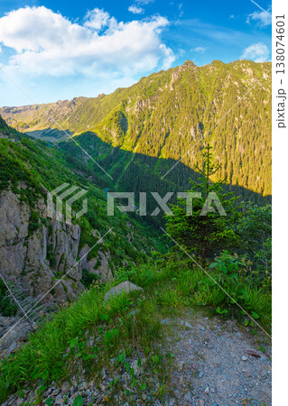 Valley in summer mountains. Gorgeous mountainous landscape of Carpathians. Rocky cliffs and forested slopes under blue sky. Scenery of Fagaras ridge of Southern Carpathian mountains of Romania, Sibiu Valley in summer mountains. Gorgeous mountainous landscape of Carpathians. Rocky cliffs and forested slopes under blue sky. Scenery of Fagaras ridge of Southern Carpathian mountains of Romania, Sibiu 138074601