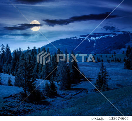 mountain landscape during spring at night. full moon over peaceful countryside scene with coniferous forest near grassy field. mysterious ridge with snow capped top in the distance 138074603