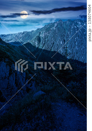Valley in summer mountains at night. Gorgeous mountainous landscape. full moon over rocky cliffs and forested slopes under dark cloudy sky. Mysterious scenery of mountain ridge 138074604