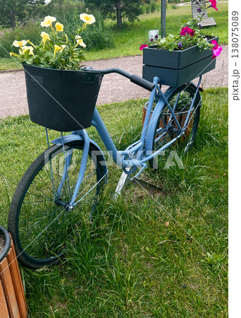 Blue bicycle decorated as flower pot in park. Garden ornament with basket and crate filled with blooming petunia. Romantic outdoor summer decoration for backyard or landscape design. Blue bicycle decorated as flower pot in park. Garden ornament with basket and crate filled with blooming petunia. Romantic outdoor summer decoration for backyard or landscape design. 138075089