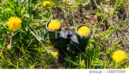 Binoculars with yellow dandelion flowers inside lenses lying in green grass. Creative nature observation concept. Spring meadow exploration tool and outdoor activity equipment, Taraxacum officinale Binoculars with yellow dandelion flowers inside lenses lying in green grass. Creative nature observation concept. Spring meadow exploration tool and outdoor activity equipment, Taraxacum officinale 138075095