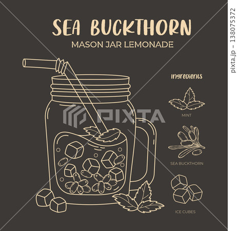 Sea Buckthorn Lemonade Spritzer in Mason Jar with Straw. Recipe Infographic. Refreshing Drink with Ice, Mint and Berries. Line drawing, coloring page. Vector Illustration Chalkboard Drink Menu Design 138075372
