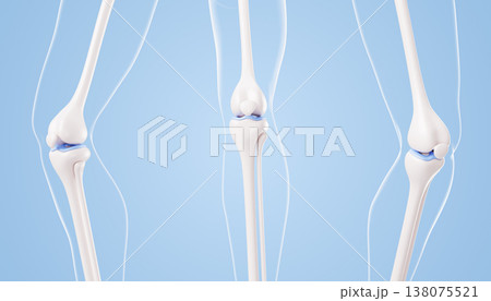 Healthy knee joint anatomy 3D models - bone structure, human leg in straight and bent positions on blue background. Medicine education icon for orthopedic study, healthcare training. 3D illustration 138075521