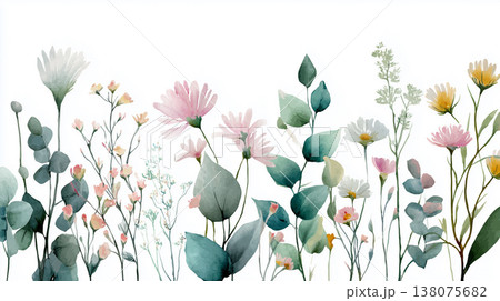 繊細な春の野花の水彩画イラスト：白い背景のボタニカルデザイン 138075682