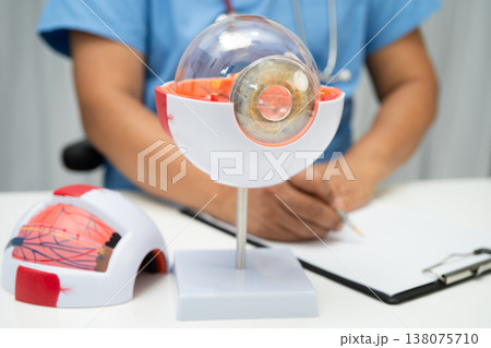 Asian doctor with eye human anatomy model. Asian doctor with eye human anatomy model. 138075710