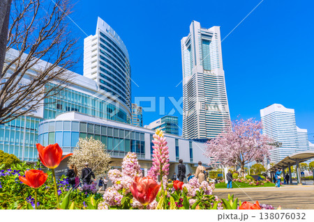 日本の横浜都市景観3月24日。エアキャビンの桜木町駅や横浜ランドマークタワー、満開の桜、花などを望む 138076032