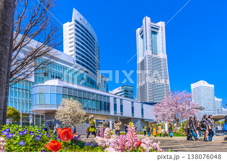 日本の横浜都市景観3月24日。エアキャビンの桜木町駅や横浜ランドマークタワー、満開の桜、花などを望む 日本の横浜都市景観3月24日。エアキャビンの桜木町駅や横浜ランドマークタワー、満開の桜、花などを望む 138076048