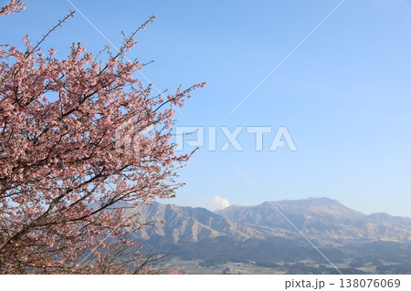 河津さくら咲く(阿蘇山) 138076069