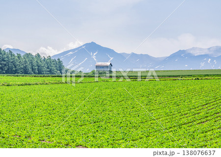 夏の北海道 広大な農地と小屋(北海道イメージ) 夏の北海道 広大な農地と小屋(北海道イメージ) 138076637
