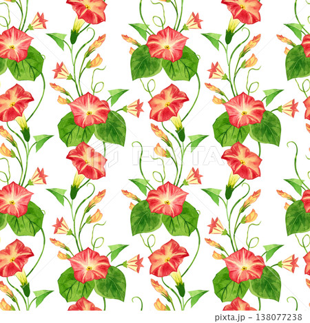 Seamless convolvulus pattern with green leaves, stems and pink flowers. Everything is hand-painted in watercolor. Floral print on textiles for spring decor and creating bright wallpapers. 138077238