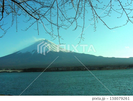河口湖、春を待つサクラの蕾と「富士山」 138079261
