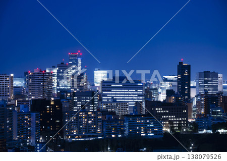 仙台市全景の夜景 138079526