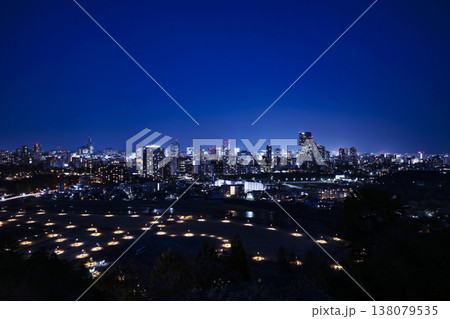 仙台市全景の夜景 138079535