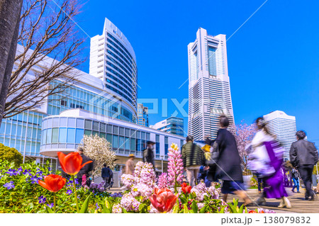 日本の横浜都市景観3月24日。エアキャビンの桜木町駅や横浜ランドマークタワー、満開の桜、花などを望む 138079832