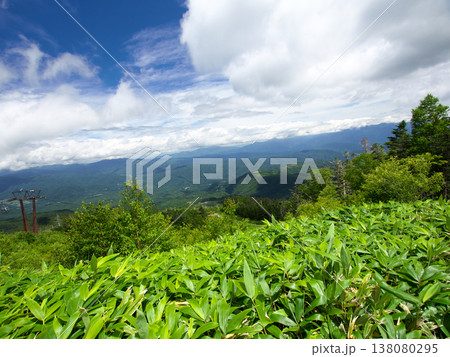 夏の御岳山から見た景色 夏の御岳山から見た景色 138080295