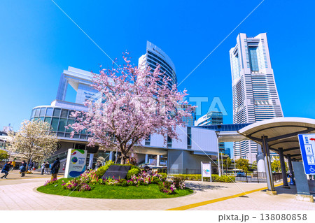 日本の横浜都市景観3月24日。エアキャビンの桜木町駅や横浜ランドマークタワー、満開の桜、花などを望む 日本の横浜都市景観3月24日。エアキャビンの桜木町駅や横浜ランドマークタワー、満開の桜、花などを望む 138080858