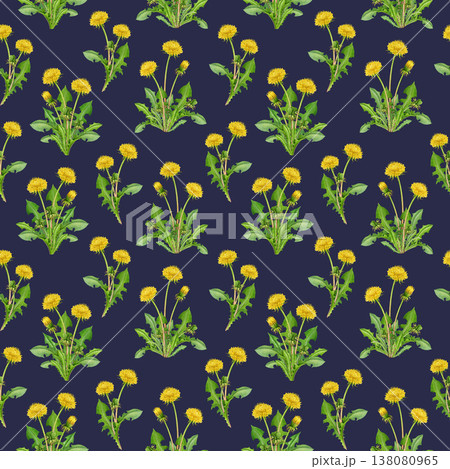 Dandelions seamless pattern on dark background. Hand drawn watercolor illustration. Springtime blooming countryside wildflowers seamless pattern. Dandelion flowers elegant decoration element Dandelions seamless pattern on dark background. Hand drawn watercolor illustration. Springtime blooming countryside wildflowers seamless pattern. Dandelion flowers elegant decoration element 138080965