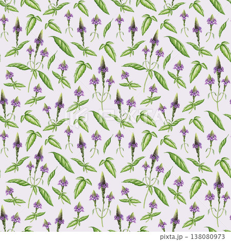 Watercolor seamless pattern with verbena flowers and leaves on lavender background. Hand drawn botanical illustration, delicate herbal floral background for textile, packaging and surface design 138080973