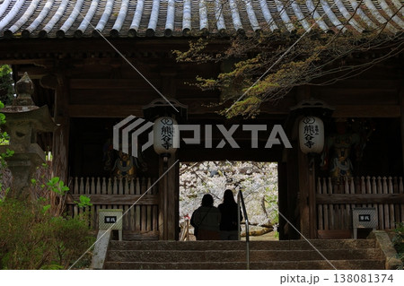 徳島県 阿波市 熊谷寺の桜 2025年4月 138081374
