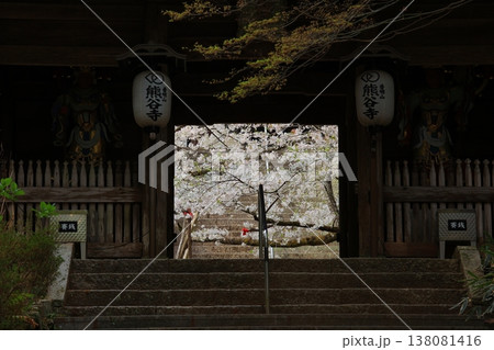 徳島県 阿波市 熊谷寺の桜 2025年4月 徳島県 阿波市 熊谷寺の桜 2025年4月 138081416