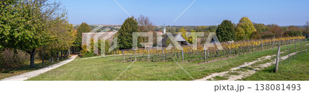 autumnally farm landscape in the region Winequarter autumnally farm landscape in the region Winequarter 138081493