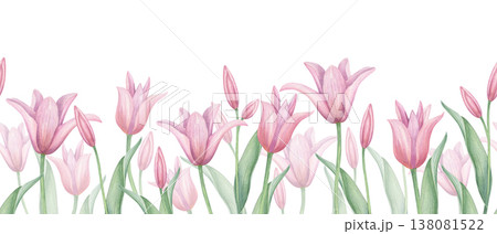 Pink tulip flowers seamless watercolor pattern on isolated background. Spring blooming tulips on stems with buds and green leaves repeat pattern for fabric and textile printing, wrapping paper 138081522