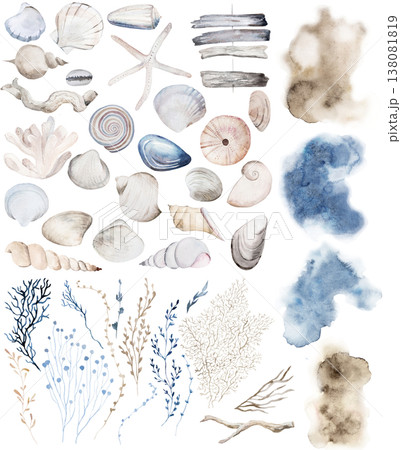 Hand drawn watercolor pastel clipart with seashells, coastal beach wedding isolated illustration 138081819