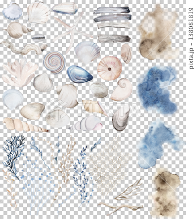 Hand drawn watercolor pastel clipart with seashells, coastal beach wedding isolated illustration 138081819