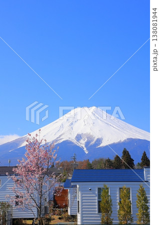 山梨県 富士山駅からの富士山と桜 2025年4月 138081944