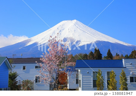 山梨県 富士山駅からの富士山と桜 2025年4月 山梨県 富士山駅からの富士山と桜 2025年4月 138081947