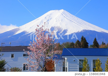 山梨県 富士山駅からの富士山と桜 2025年4月 138081948