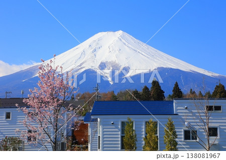 山梨県 富士山駅からの富士山と桜 2025年4月 138081967