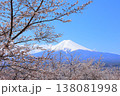 山梨県 新倉山浅間神社 富士山と桜 2025 春 138081998