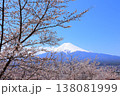 山梨県 新倉山浅間神社 富士山と桜 2025 春 138081999