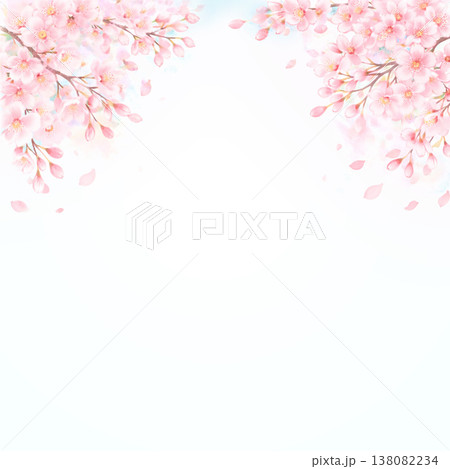 白い背景にピンクの桜の花のイラスト 白い背景にピンクの桜の花のイラスト 138082234