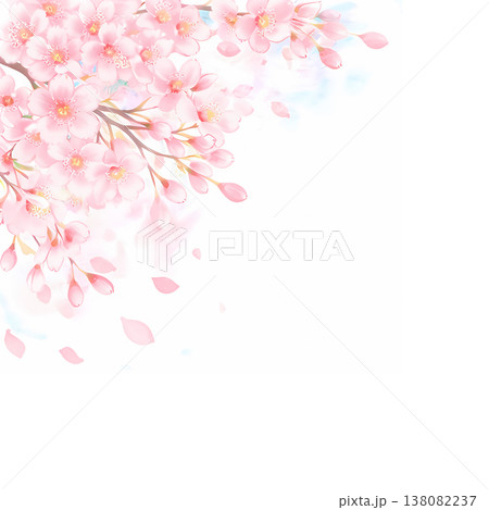 水彩で描いた桜のイラスト 水彩で描いた桜のイラスト 138082237