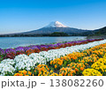 富士河口湖大石公園のカラフルなビオラの花壇の後ろに富士山が見える風景 138082260