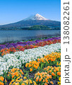 富士河口湖大石公園のカラフルなビオラの花壇の後ろに富士山が見える風景 138082261