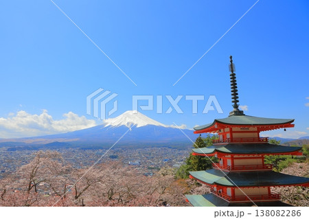 山梨県 新倉山浅間神社 忠霊塔 富士山と桜 2025 春 138082286