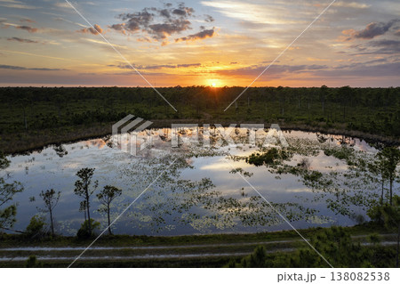 Sunset over forest lake water with floating lily pads in southern tropical wetlands. Amazing Florida nature 138082538