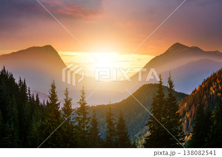 Sunset landscape with high peaks and foggy valley with autumn spruce forest under vibrant colorful evening sky in rocky mountains. 138082541