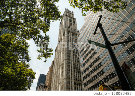 A historic Art Deco skyscraper towers above the streets of Lower Manhattan in New York City. Green tree branches frame the classic architecture against modern office buildings. 138083483