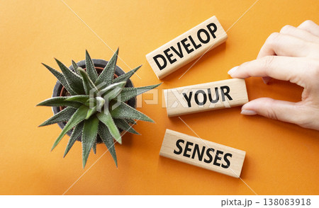 Sense symbol. Wooden blocks with words Develop your Senses. Beautiful orange background with succulent plant. Businessman hand. Business and Develop your Senses concept. Copy space. Sense symbol. Wooden blocks with words Develop your Senses. Beautiful orange background with succulent plant. Businessman hand. Business and Develop your Senses concept. Copy space. 138083918